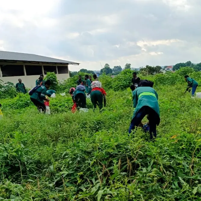 Estudante de Agropecuaria- IPOMA