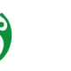 Projecta Joveem